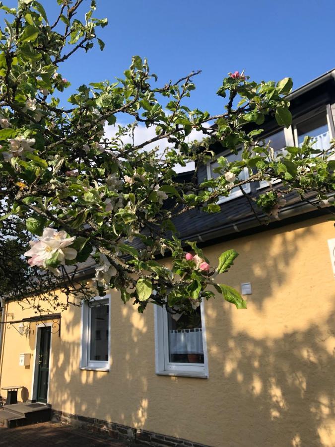 Am Apfelbaum, Ein Ferienhaus Zwischen Rhein Und Mosel Kastellaun Esterno foto