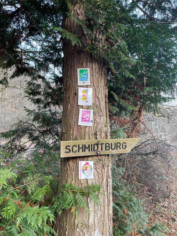 Am Apfelbaum, Ein Ferienhaus Zwischen Rhein Und Mosel Kastellaun Esterno foto