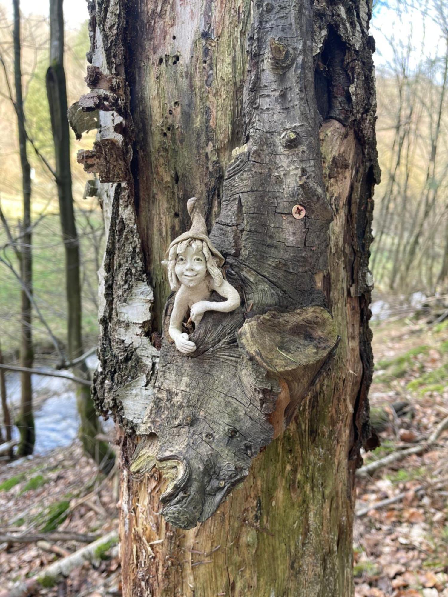 Am Apfelbaum, Ein Ferienhaus Zwischen Rhein Und Mosel Kastellaun Esterno foto