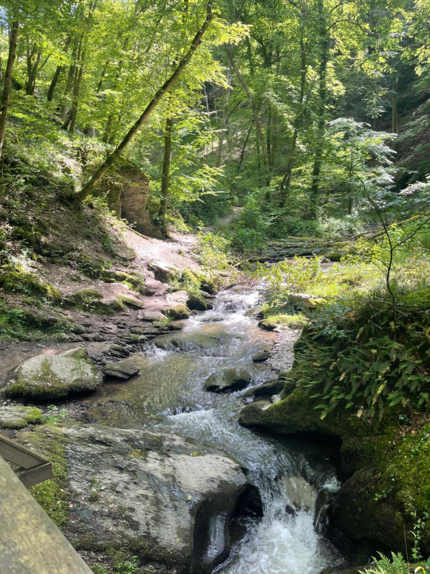 Am Apfelbaum, Ein Ferienhaus Zwischen Rhein Und Mosel Kastellaun Esterno foto